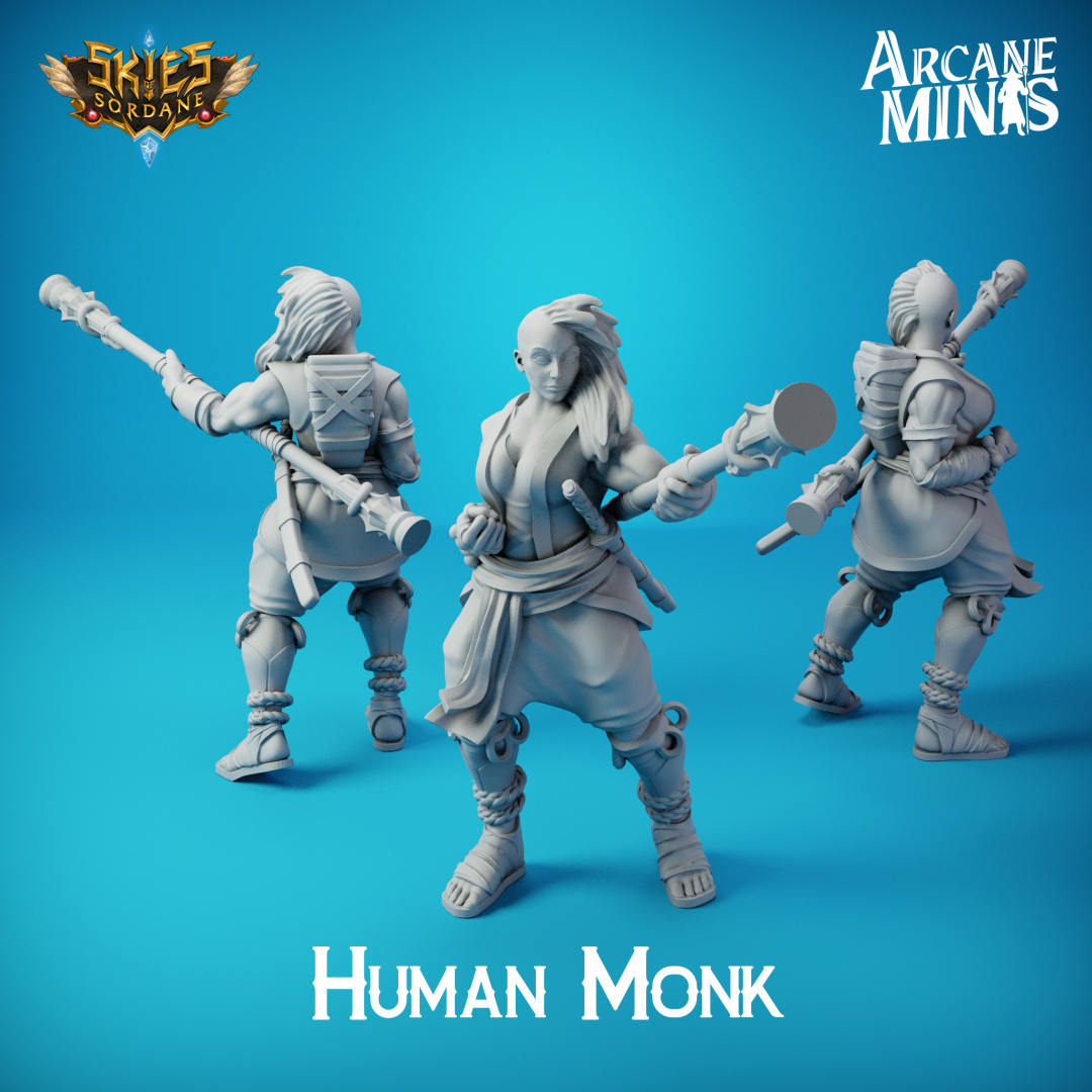 Human Pirate Monk - Female